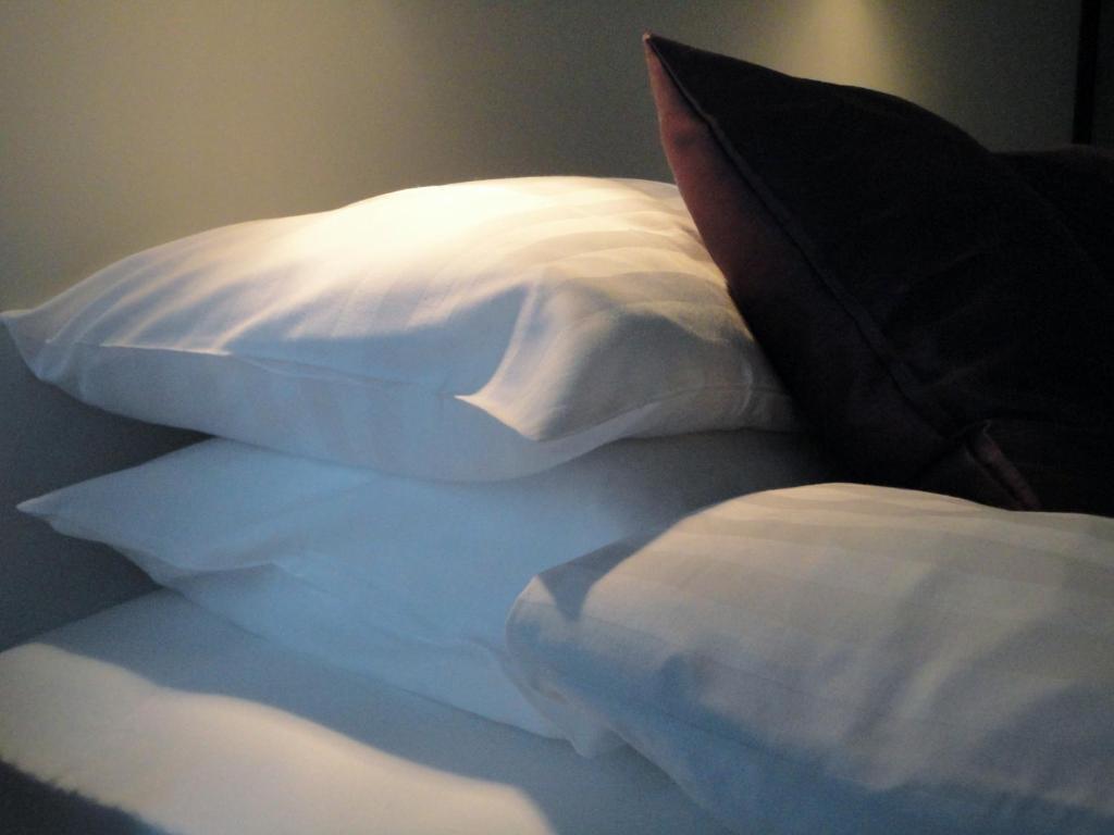 Black Pearl Apartment Hotel Reykjavík Esterno foto
